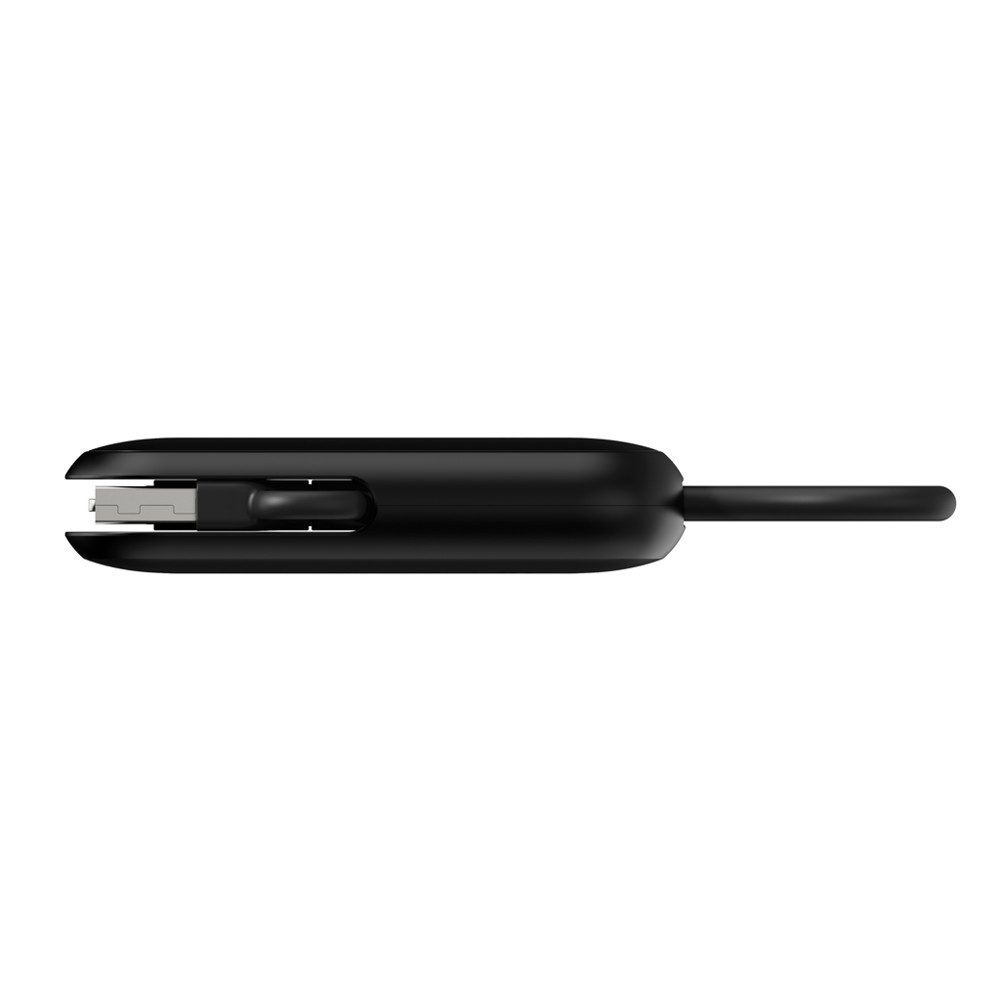 Urban Vitamin Dublin 100W 4 -in-1 keychain cable