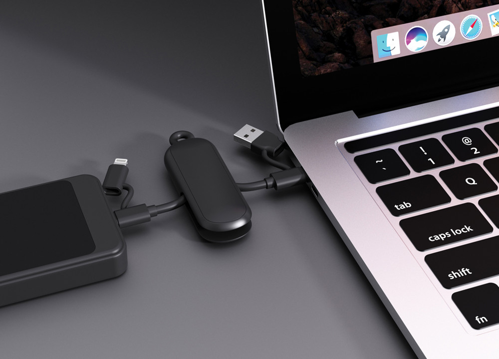 Urban Vitamin Dublin 100W 4 -in-1 keychain cable